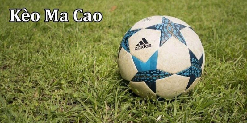 Chi tiết cách đọc kèo Macao tại HB88 